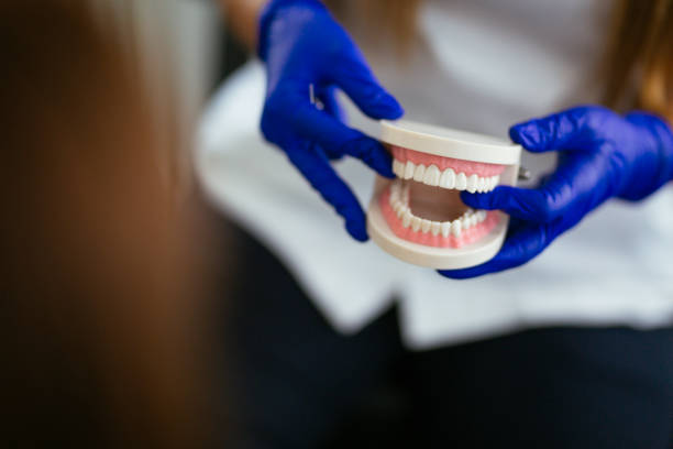 Professional  Holistic Dental Services in Roma, TX